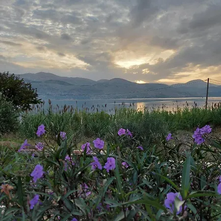 Βίλα Apollonides Seafront Villa1 Aoede