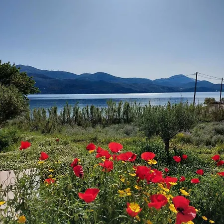 Apollonides Seafront Villa1 Aoede