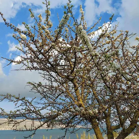 Apollonides Seafront Villa1 Aoede 릭수리