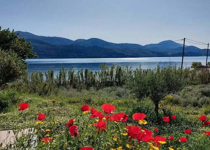 Apollonides Seafront Villa1 Aoede